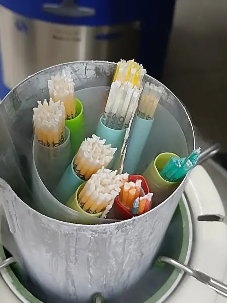 Dosis seminales en tanque de nitrógeno