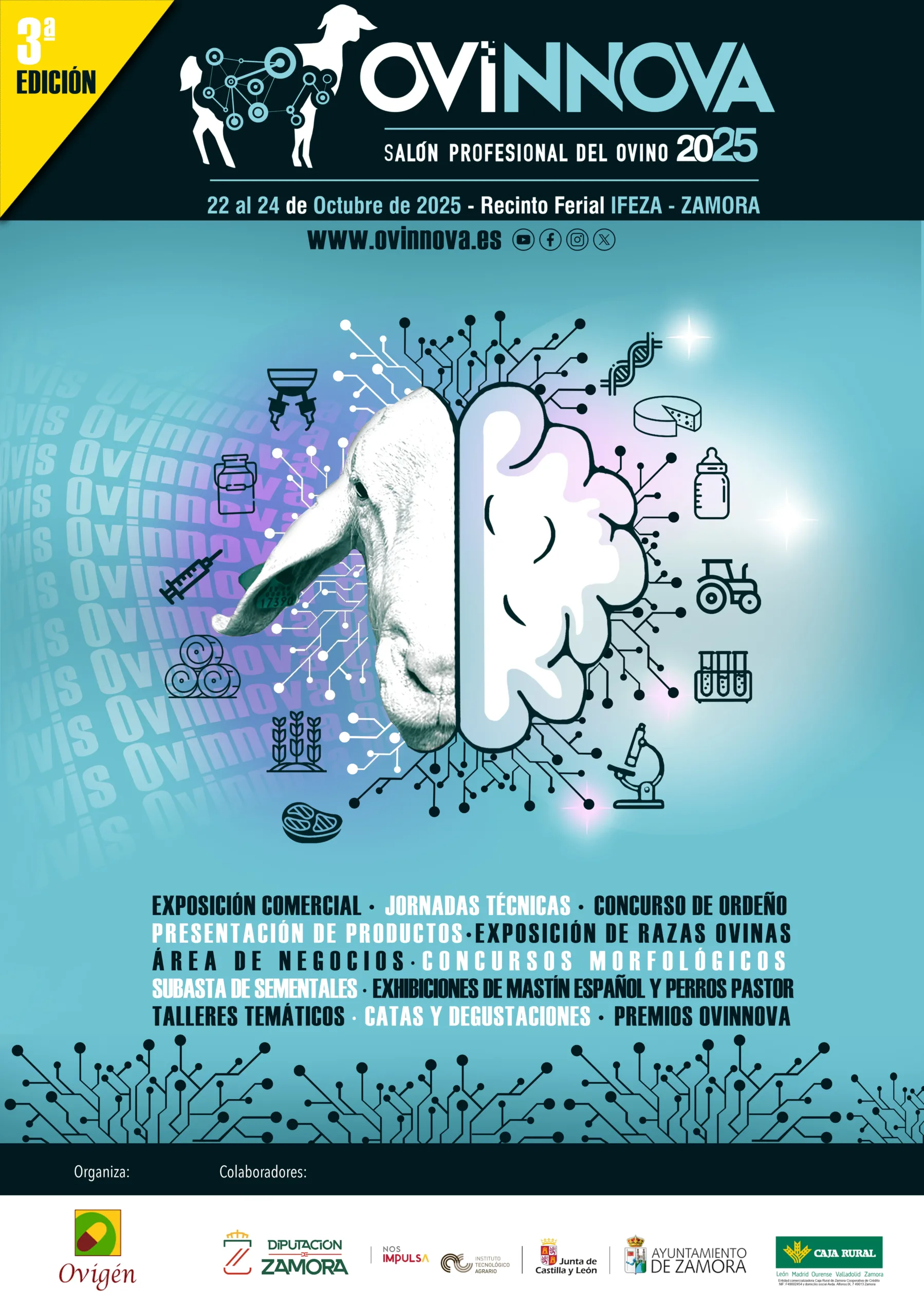 Cartel Ovinnova 2025