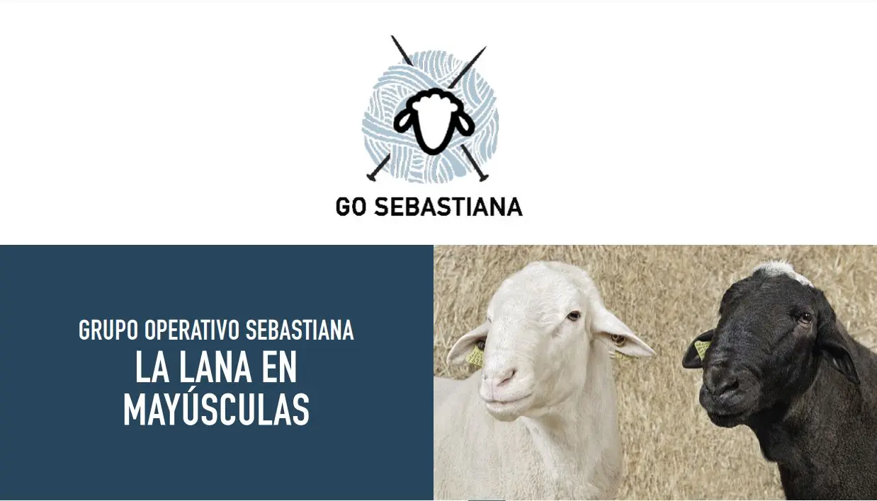 Tríptico resultados GO Sebastiana