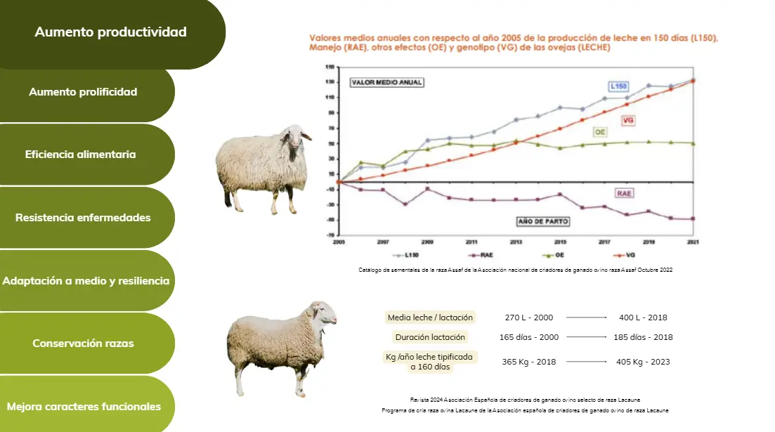 Cómo opera un centro de selección y mejora genética de ovino