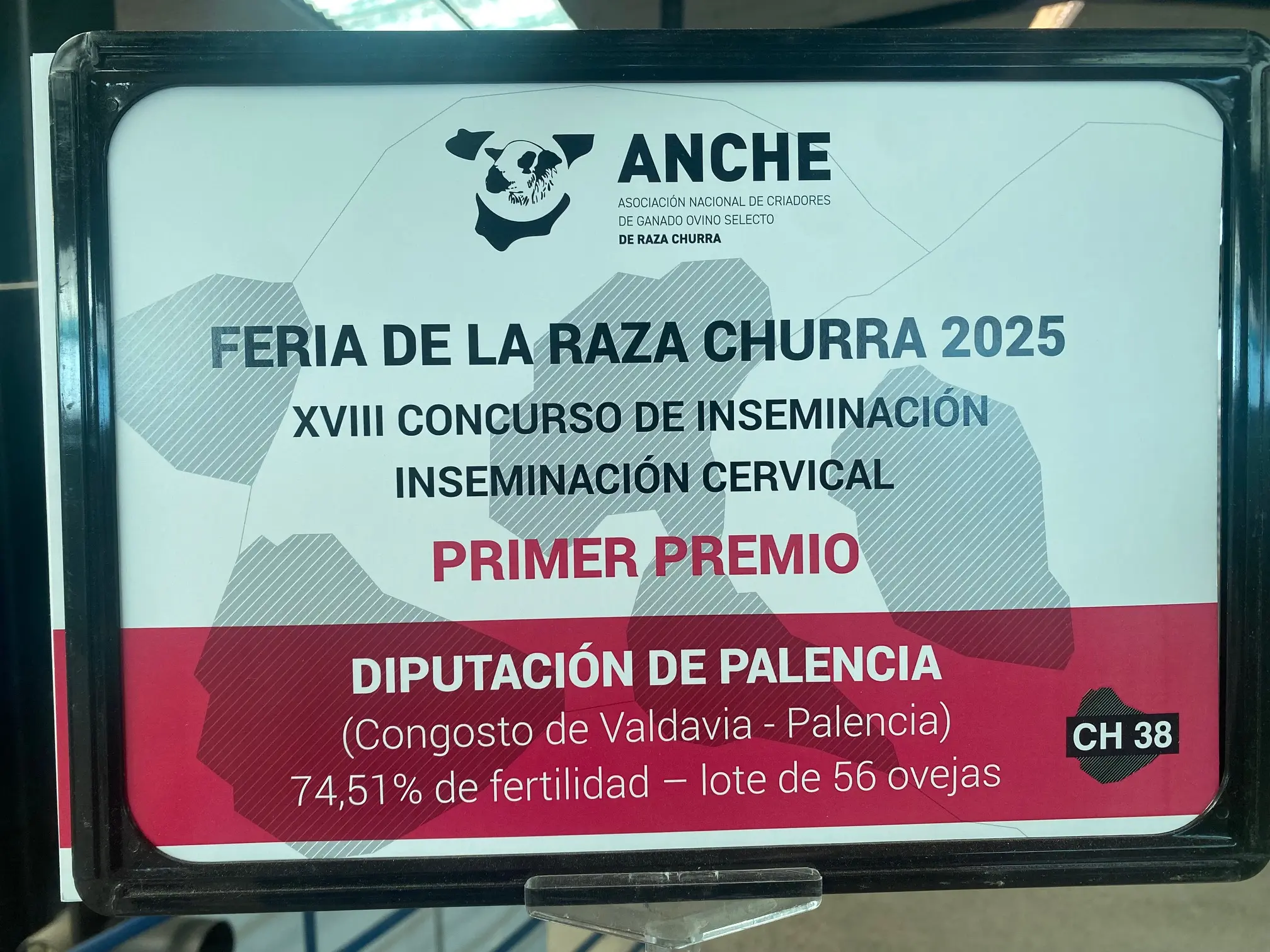 Primer premio Concurso inseminación artificial