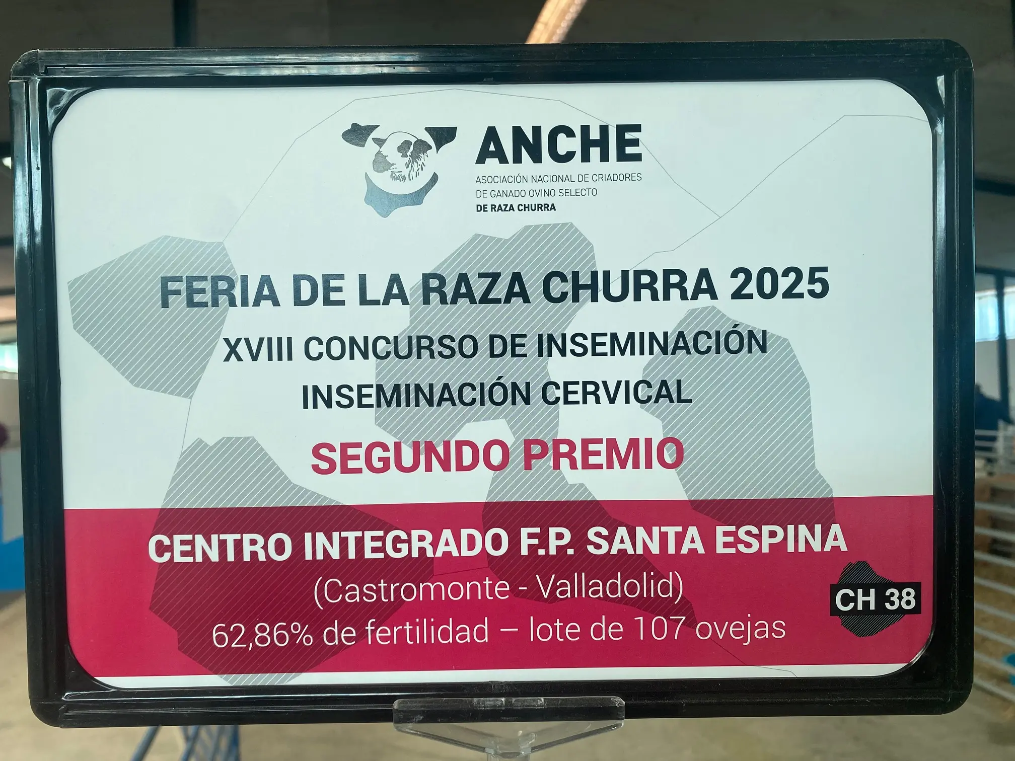 Segundo premio Concurso inseminación artificial