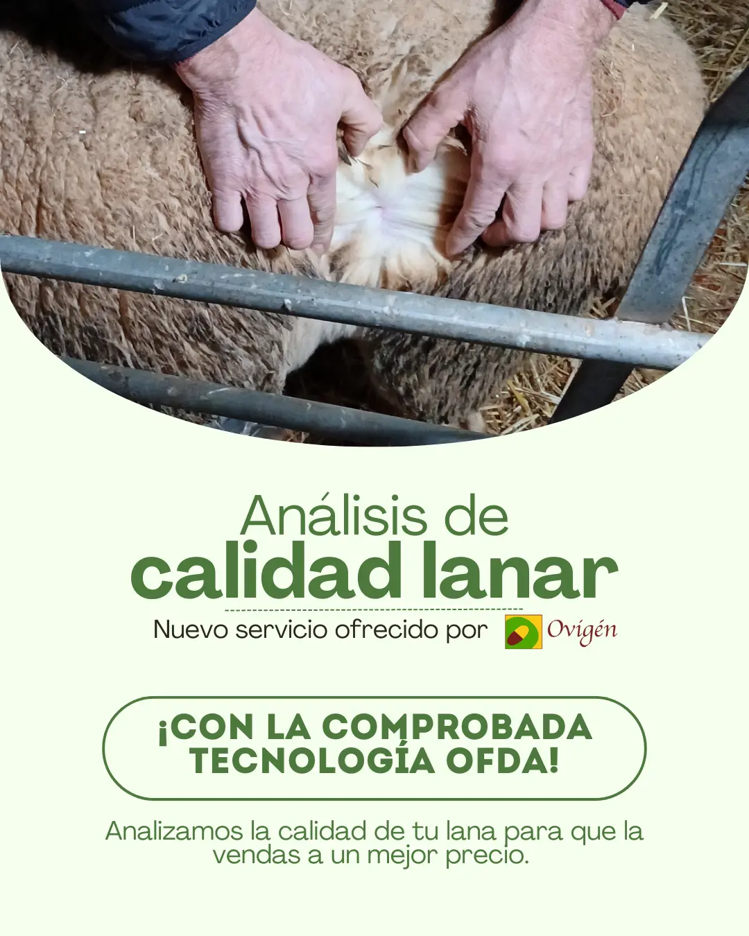 Nuevo servicio de Análisis de calidad lanar