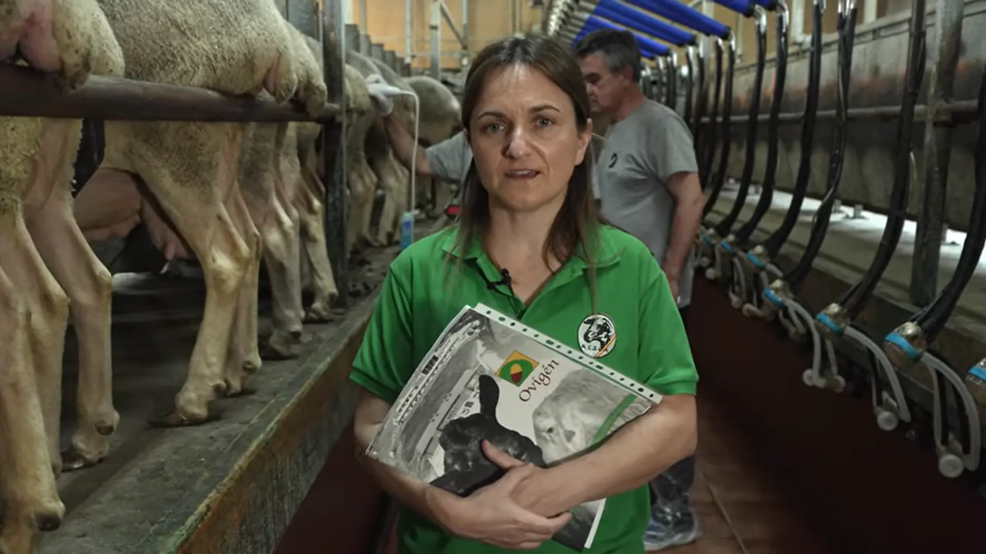 SMARTOVI - Diagnóstico de gestación