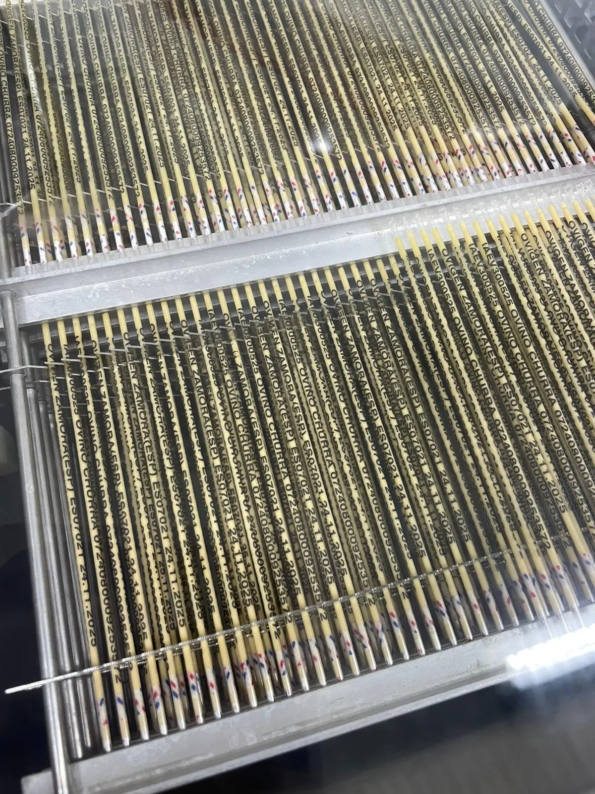 Congelación dosis churra